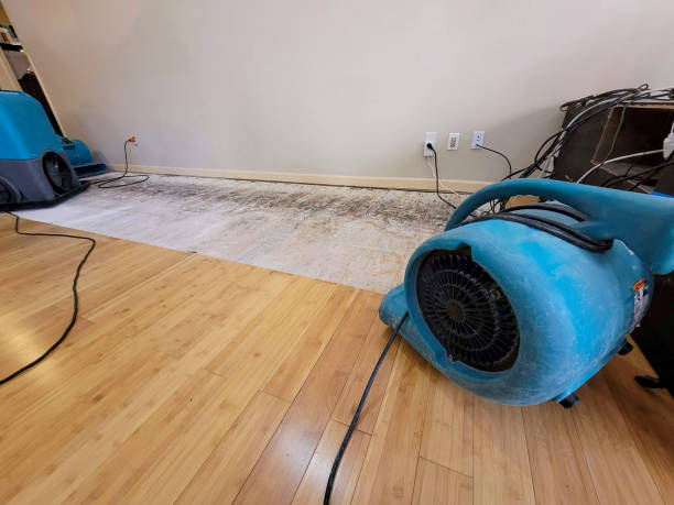 Professional Emergency Water Damage technician working in Spring Lake, MI
